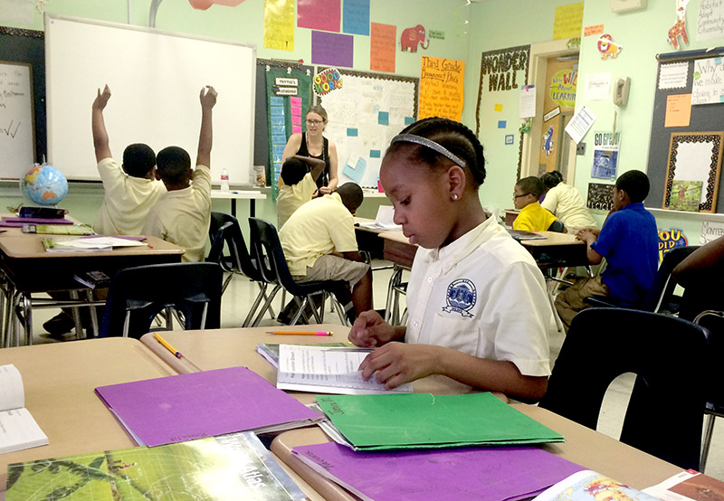 curriculum-video-placeholder